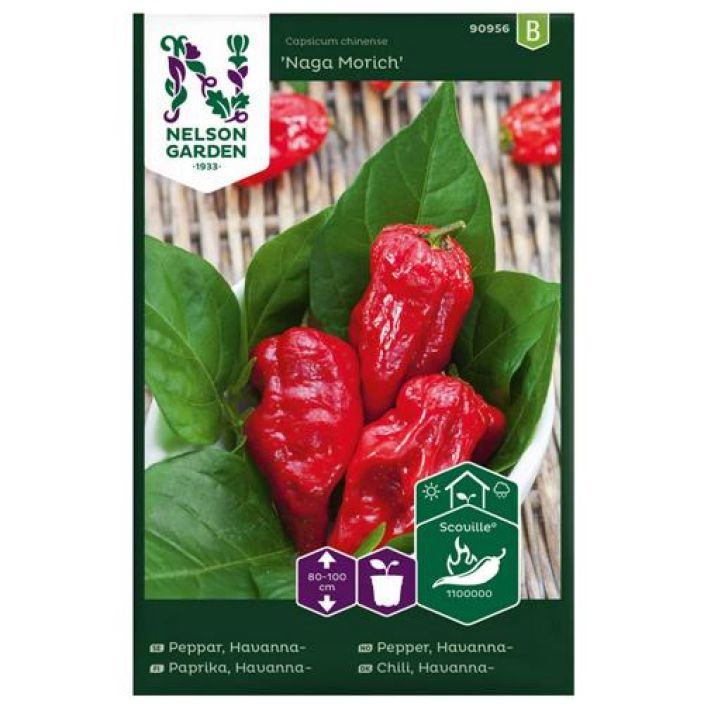 Paprika, Chili-, Naga Morich Erittain tulinen ja maukas keltainen c.chinensen ja c.frutescens'n risteytys Paprika, Chili-, Naga Morich Erittain tulinen ja maukas keltainen c.chinensen ja c.frutescens'n risteytys
