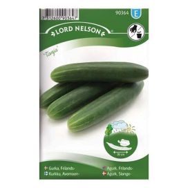 NELSON GARDEN Kurkku, Avomaan-, Tanja, pitkä