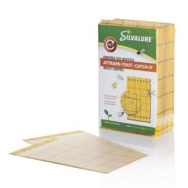 BIOTUS Ansa, liima-, 25x40cm, 2-puolinen