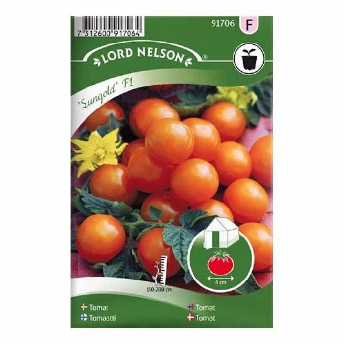 Tomaatti, Kirsikka-, Sungold F1