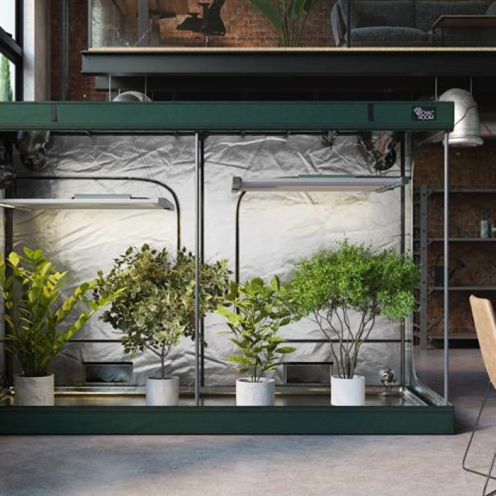 Kasviteltta, Royal Room 2.0 C300S, 300x150x200cm tuotekuva 6