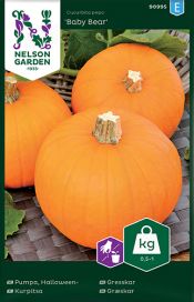 NELSON GARDEN Kurpitsa, Baby Bear