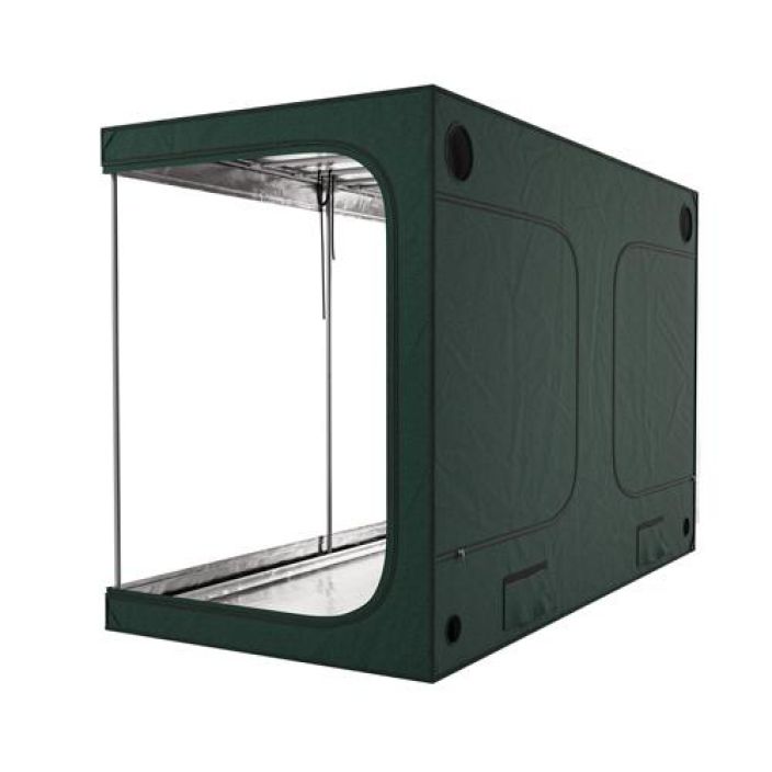 Kasviteltta, Royal Room 2.0 C300S, 300x150x200cm tuotekuva 2