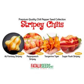 FATALII Fatalii Seeds: Stripey Chilis