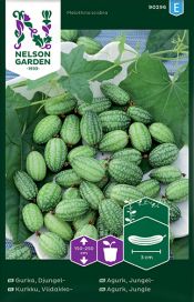 NELSON GARDEN Kurkku, Viidakko-, Melothria Scabra