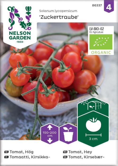 Tomaatti, Kirsikka-, Zuckertraube Organic Luomulaatuinen siemen. Kirsikkatomaattilajike, joka tuottaa runsaan sadon pienia