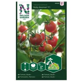 NELSON GARDEN Tomaatti, Pensas-, Baby Boomer F1