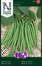 NELSON GARDEN Papu, Taite-, Ferrari