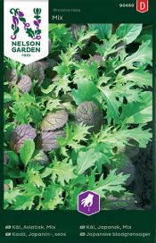 NELSON GARDEN Kaali, Japanin-, seos