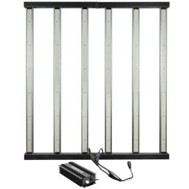 MAXIBRIGHT Valaisin, LED-, Maxibright Varidrive 2 720/960W LED