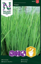 NELSON GARDEN Sipuli, Ruoho-, Biggy