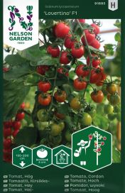 NELSON GARDEN Tomaatti, Kirsikka-, Lovertino F1