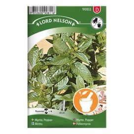 NELSON GARDEN Minttu